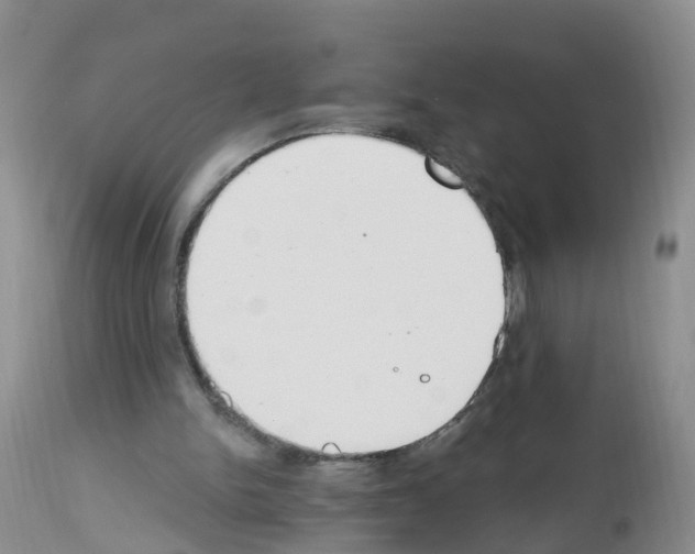 X0000112500150200909281206