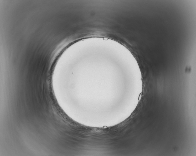 X0000112500152200909281206