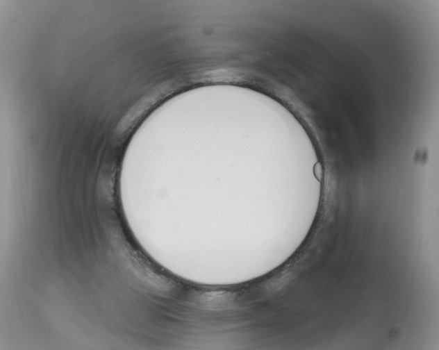 X0000112500153200909281206