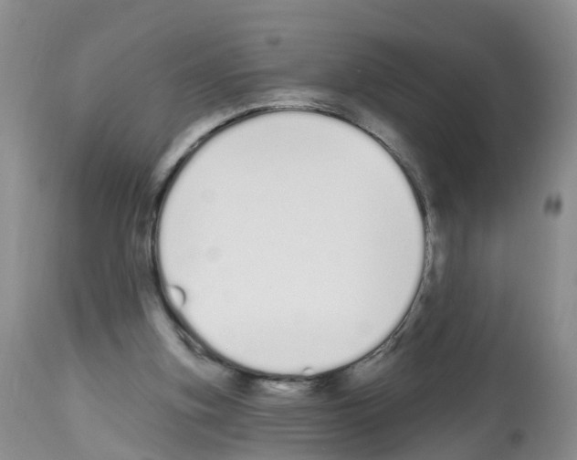 X0000112500155200909281206