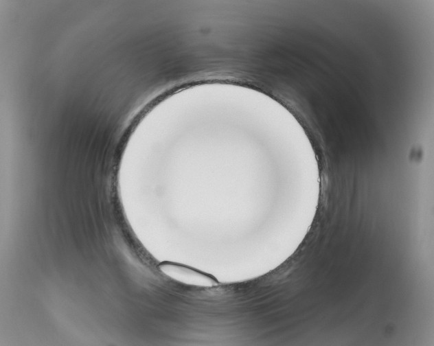 X0000112500156200909281206