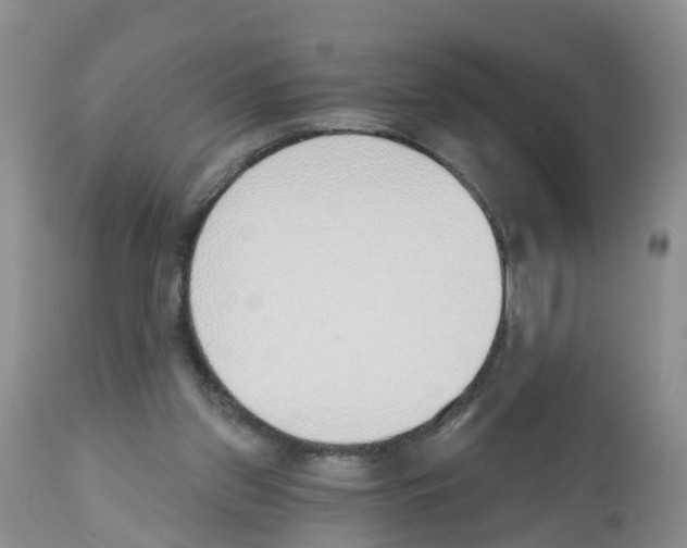 X0000112500157200909281206