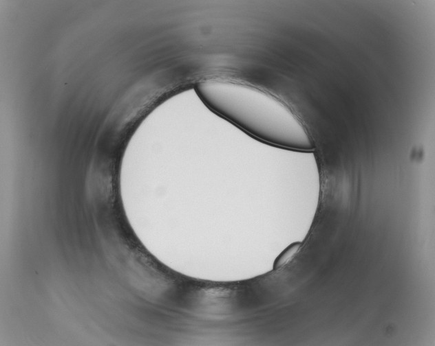 X0000112500158200909281206