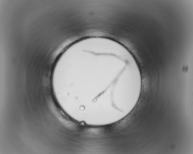 X0000112500159200909281206