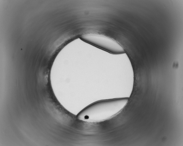 X0000112500160200909281206