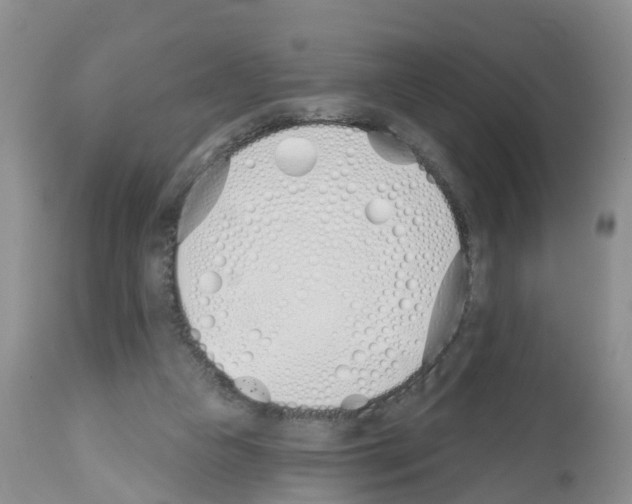 X0000112500161200909281206