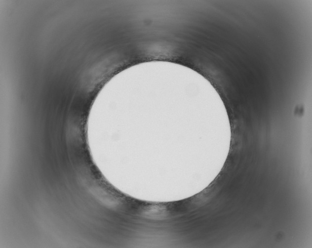 X0000112500162200909281206