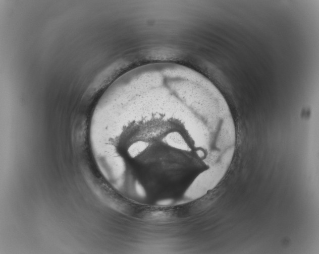 X0000112500163200909281206