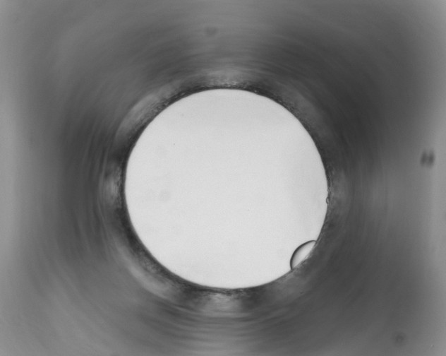 X0000112500166200909281206