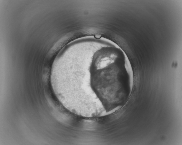 X0000112500167200909281206