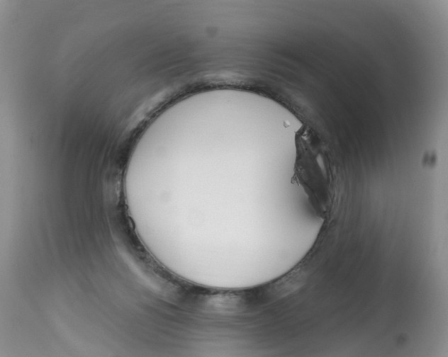 X0000112500168200909281206