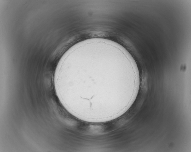 X0000112500169200909281206