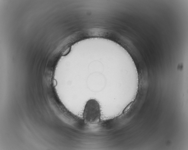 X0000112500171200909281206