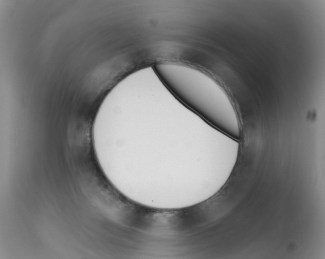 X0000112500172200909281206