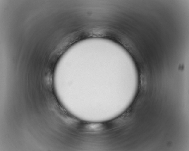 X0000112500173200909281206