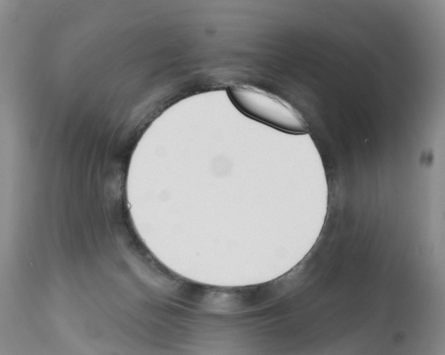 X0000112500174200909281206