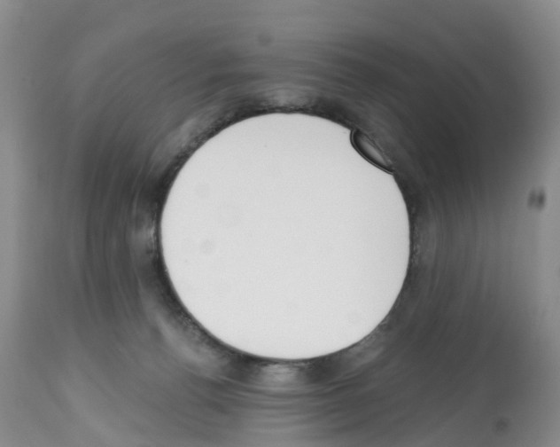 X0000112500176200909281206