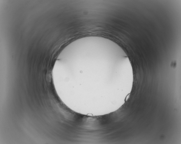 X0000112500180200909281206