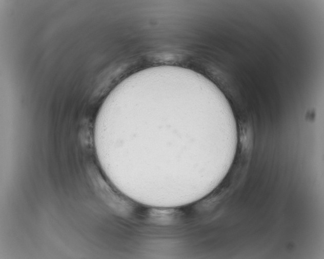 X0000112500181200909281206