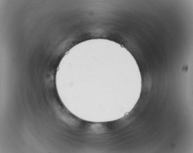 X0000112500183200909281206