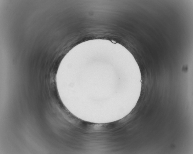 X0000112500184200909281206