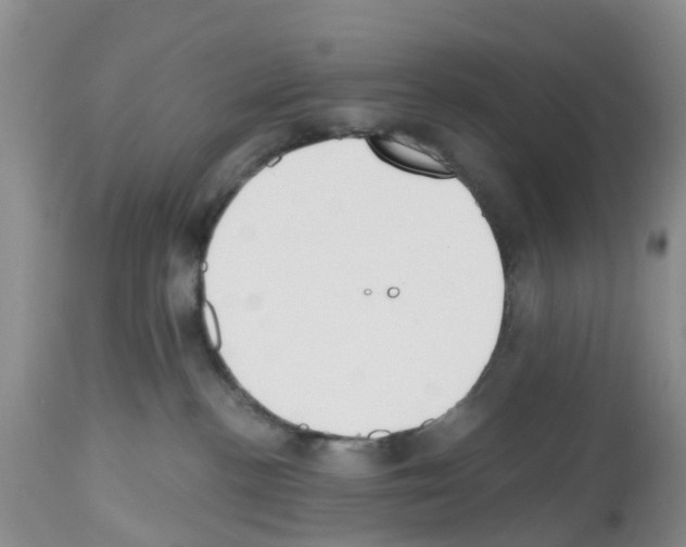 X0000112500188200909281206