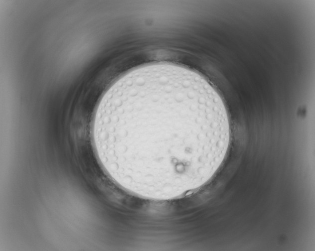 X0000112500189200909281206