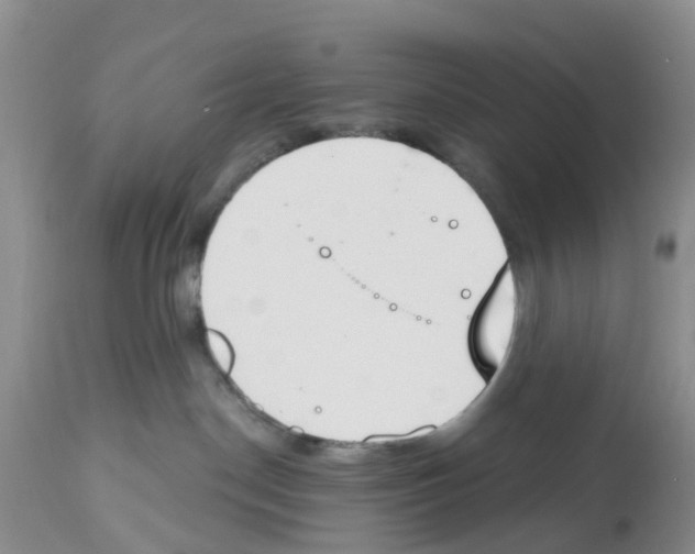 X0000112500190200909281206