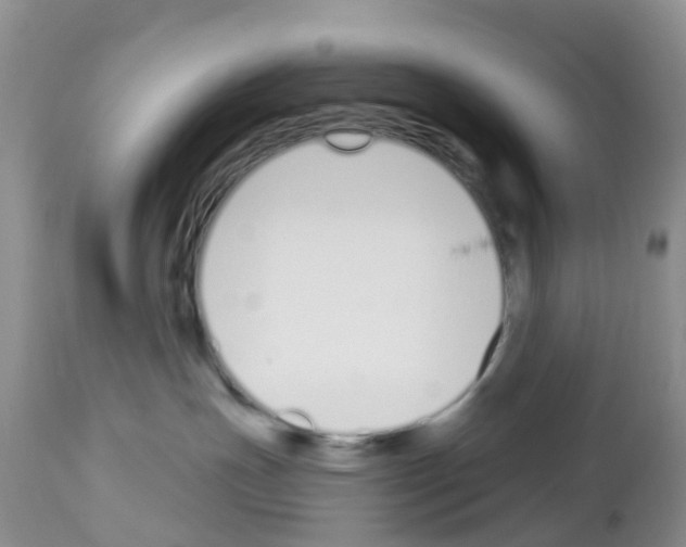 X0000112500191200909281206