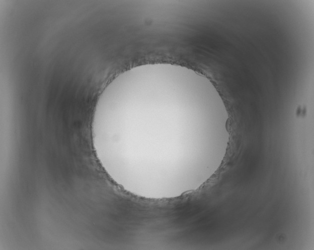 X0000112500192200909281206