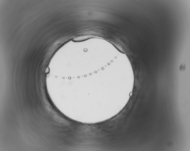 X0000112500193200909281205