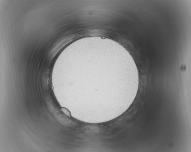 X0000112500194200909281205