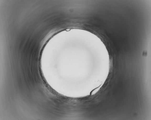 X0000112500195200909281205