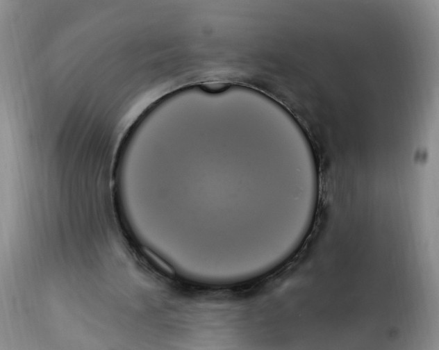 X0000112500196200909281205