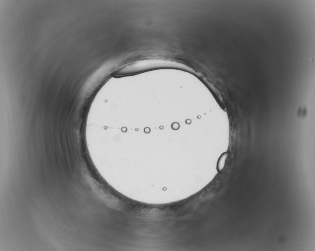 X0000112500197200909281205