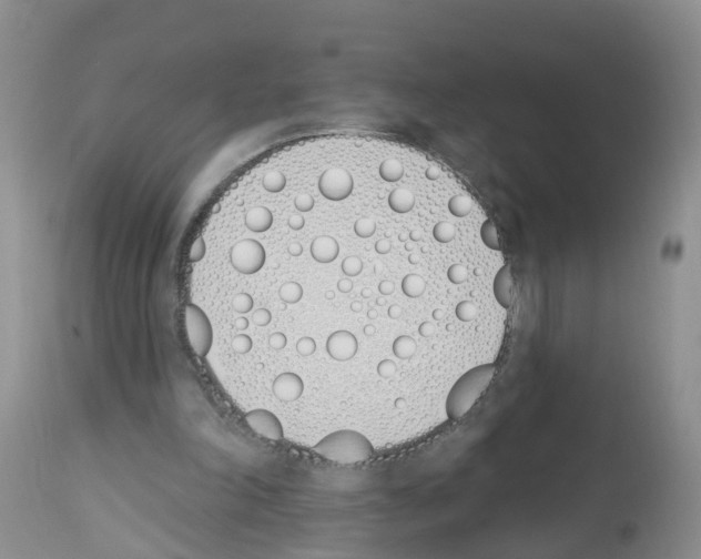 X0000112500198200909281205