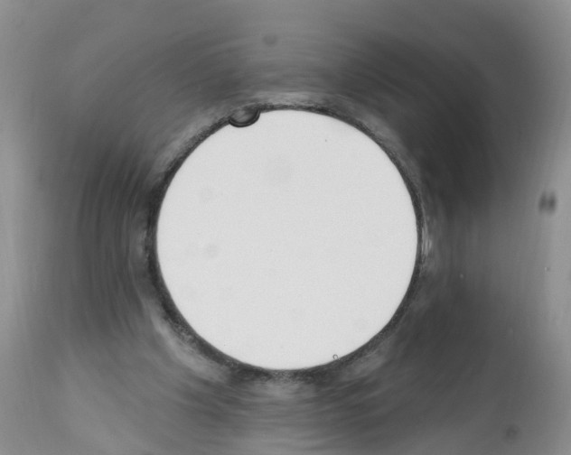 X0000112500201200909281205