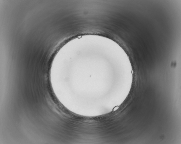 X0000112500203200909281205