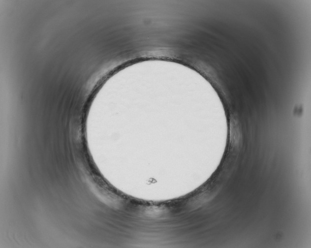 X0000112500204200909281205