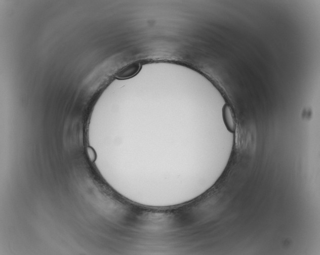 X0000112500205200909281205