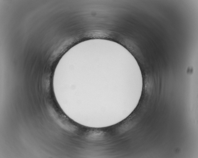 X0000112500206200909281205