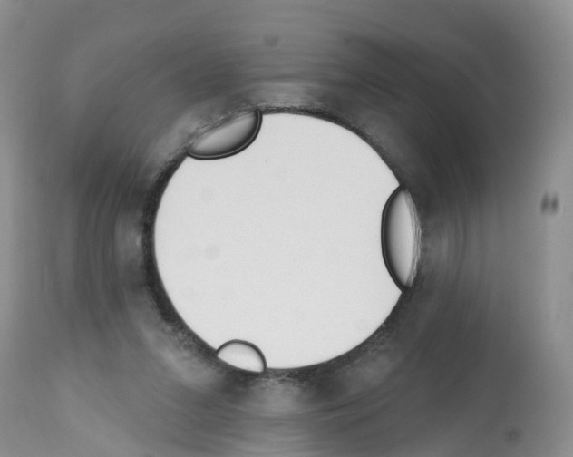 X0000112500207200909281205