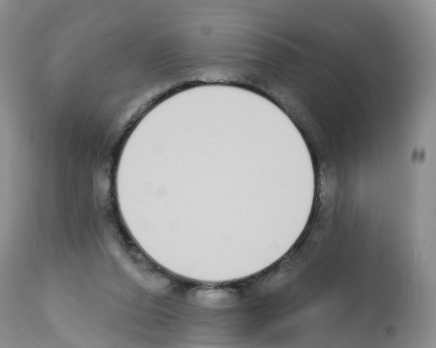 X0000112500208200909281205