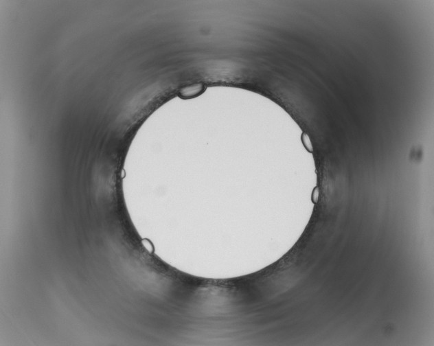 X0000112500211200909281205