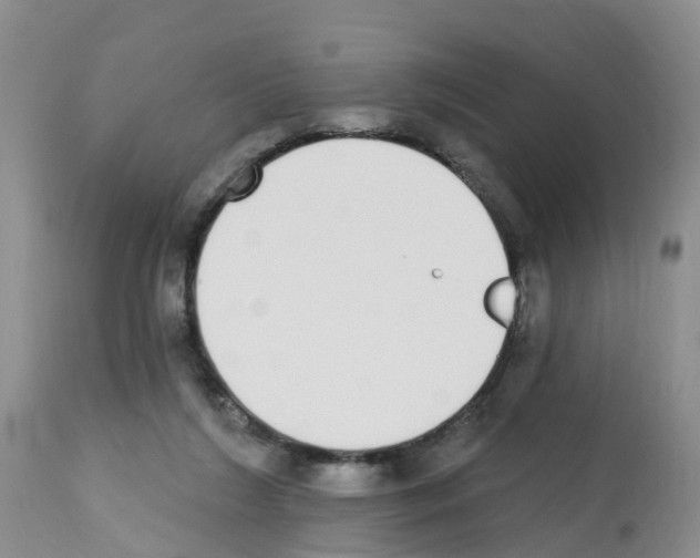 X0000112500212200909281205