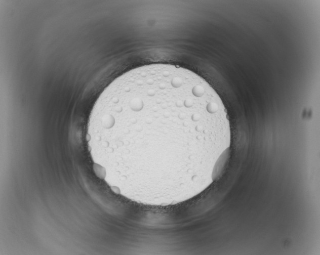 X0000112500214200909281205