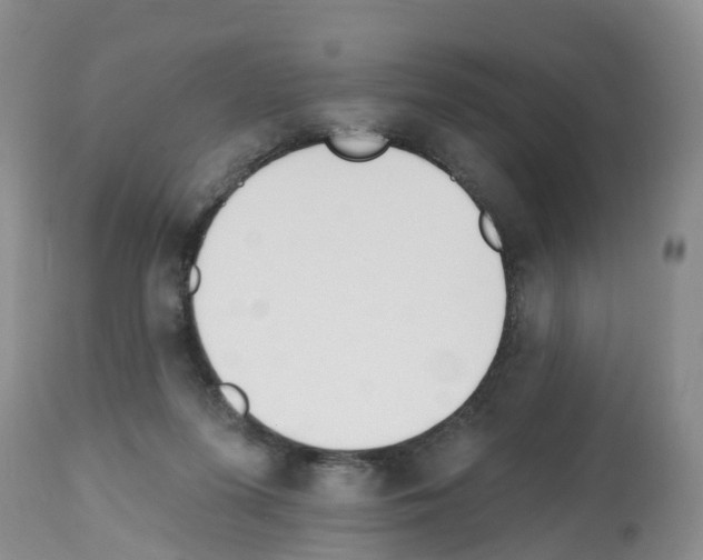 X0000112500215200909281205