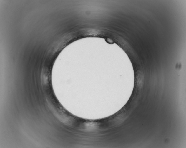 X0000112500216200909281205