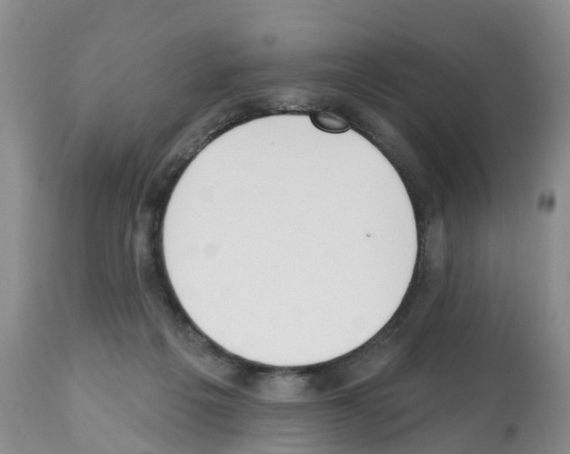 X0000112500217200909281205