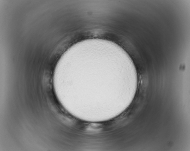 X0000112500222200909281205